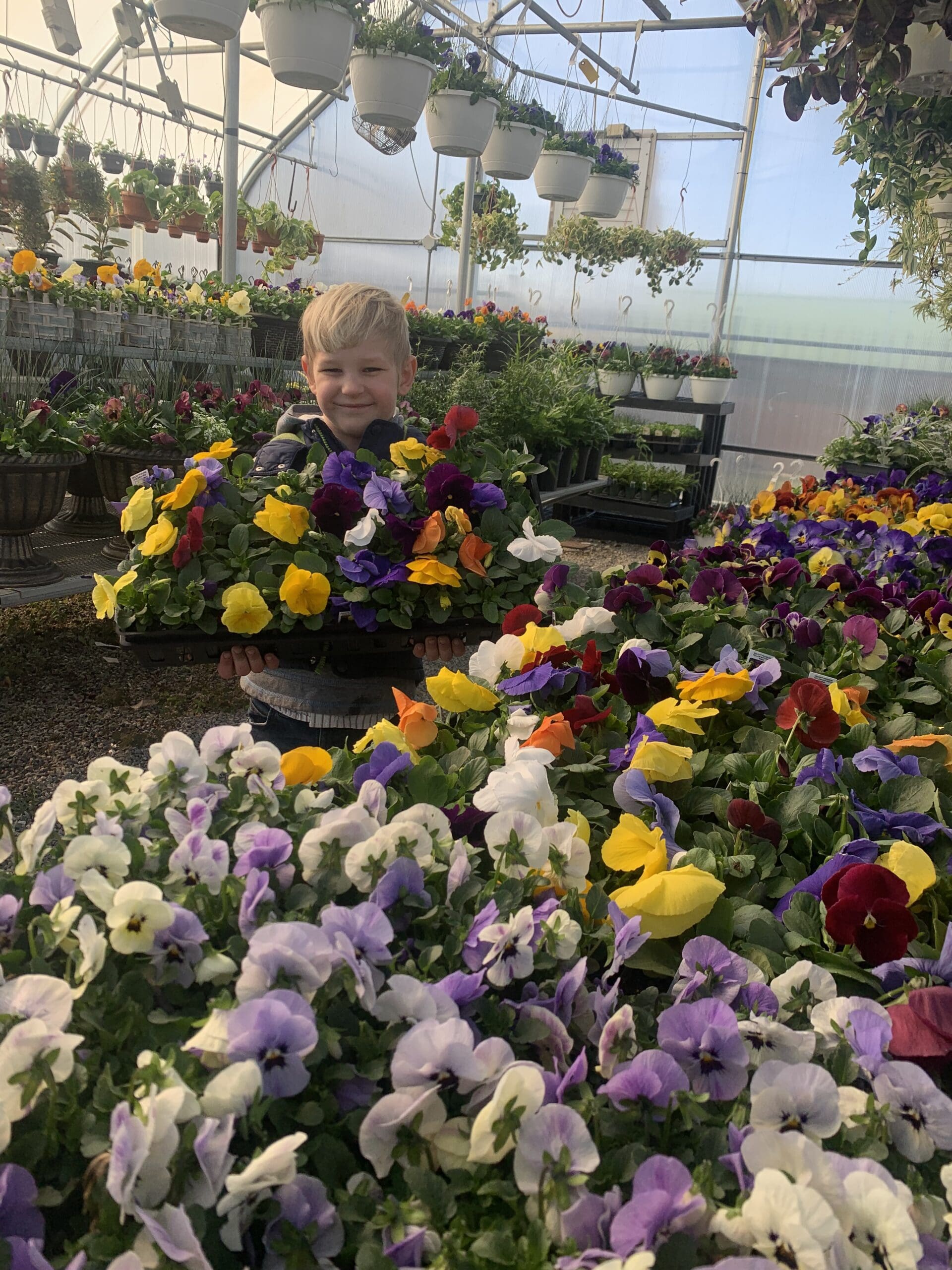 Dutch Spring Farming Farm Stands Near Me | Spring City, PA | Dutch Country Farm Market
